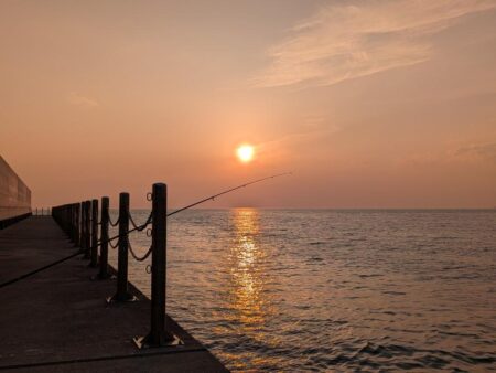 カレイ狙いでチヌ